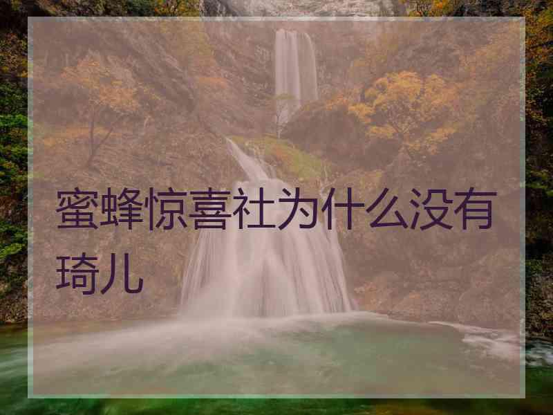 蜜蜂惊喜社为什么没有琦儿