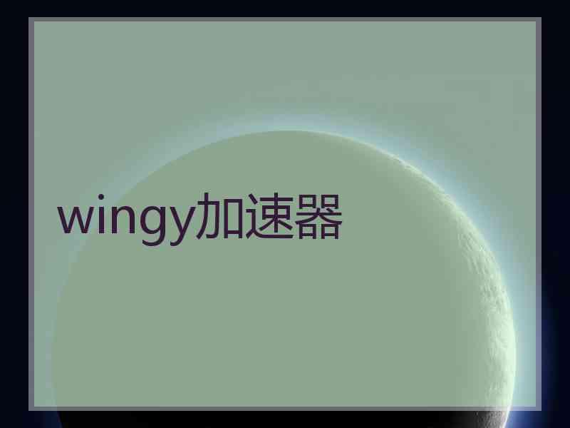 wingy加速器