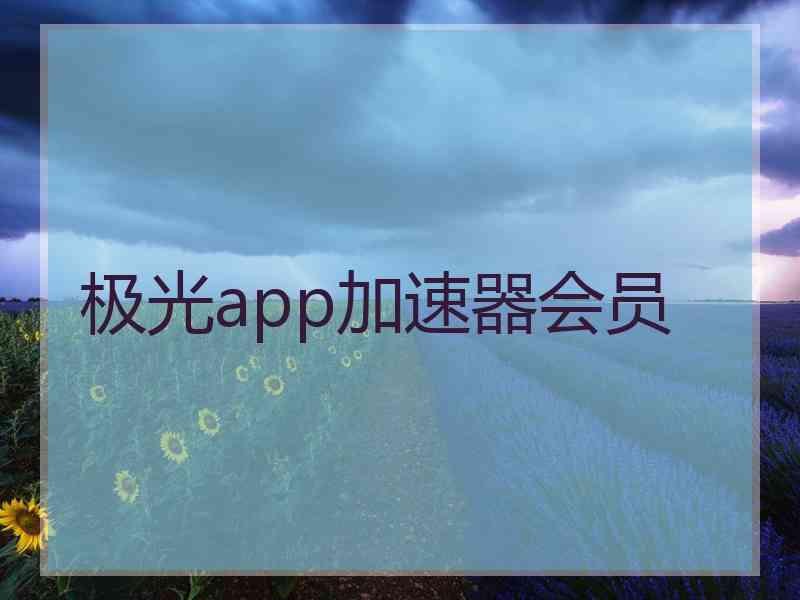 极光app加速器会员