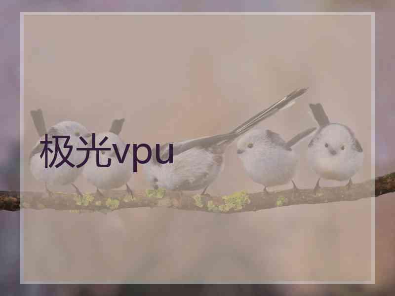 极光vpu