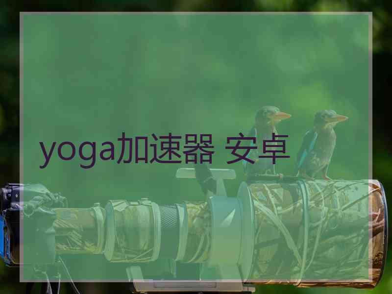 yoga加速器 安卓