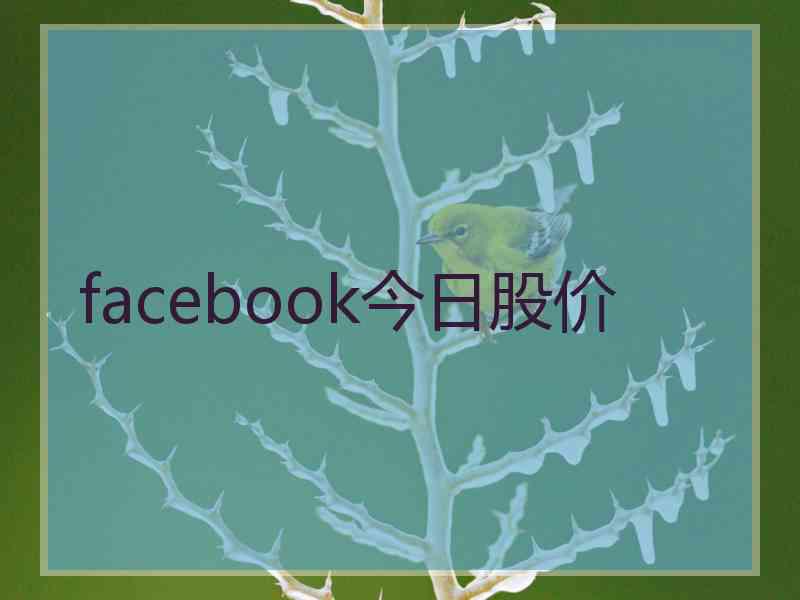 facebook今日股价