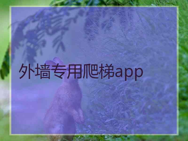 外墙专用爬梯app