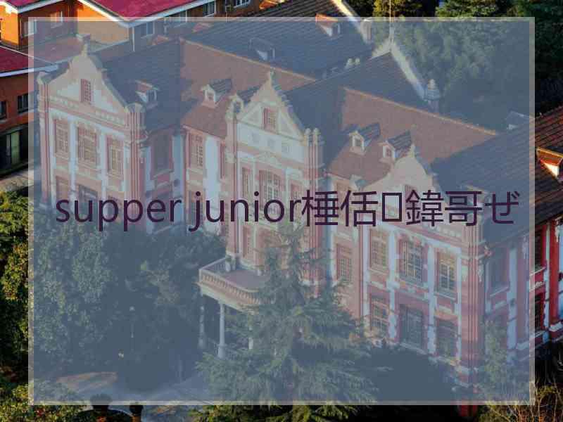 supper junior棰佸鍏哥ぜ