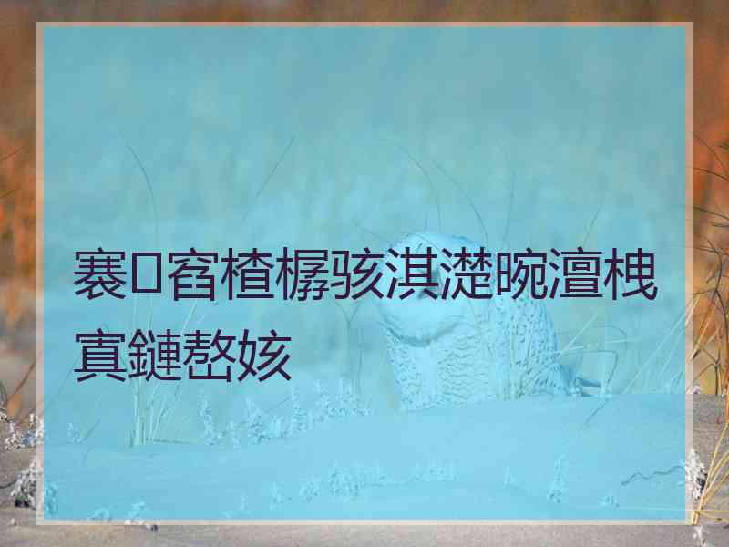 褰窞楂樼骇淇濋晼澶栧寘鏈嶅姟