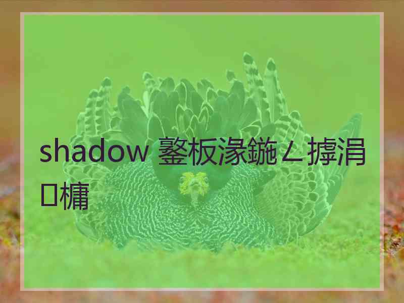 shadow 鐜板湪鍦ㄥ摢涓槦