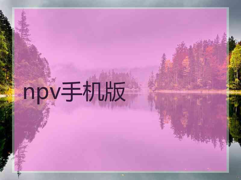 npv手机版