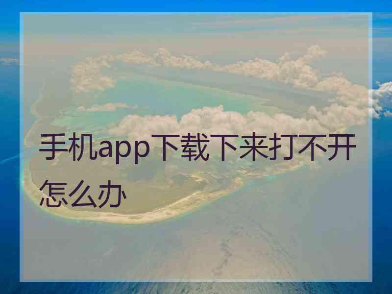 手机app下载下来打不开怎么办