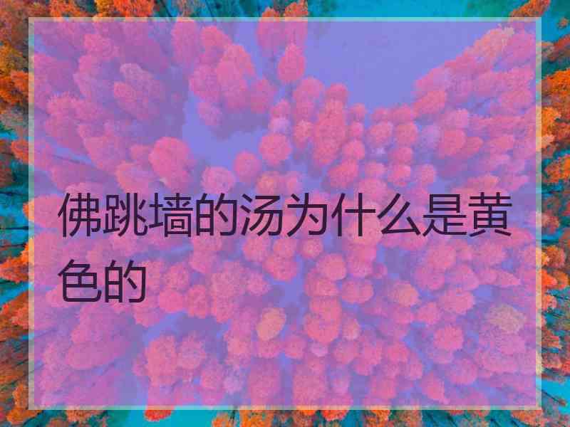 佛跳墙的汤为什么是黄色的