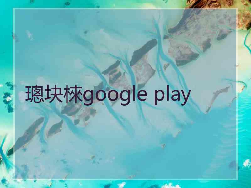 璁块棶google play