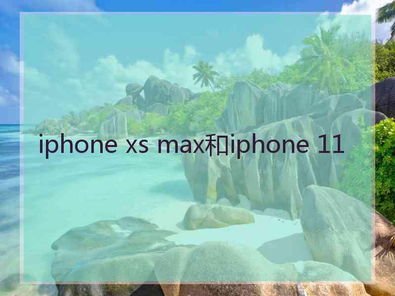 iphone xs max和iphone 11