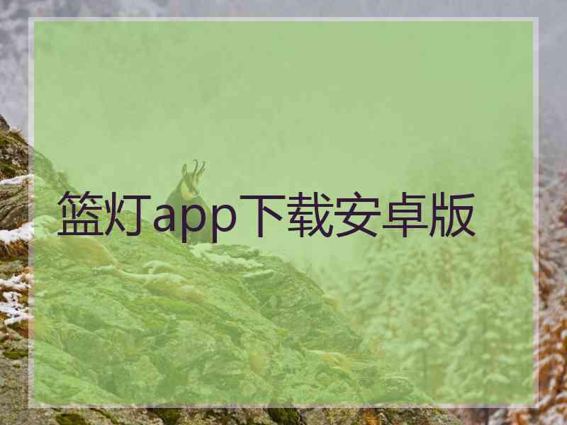 篮灯app下载安卓版