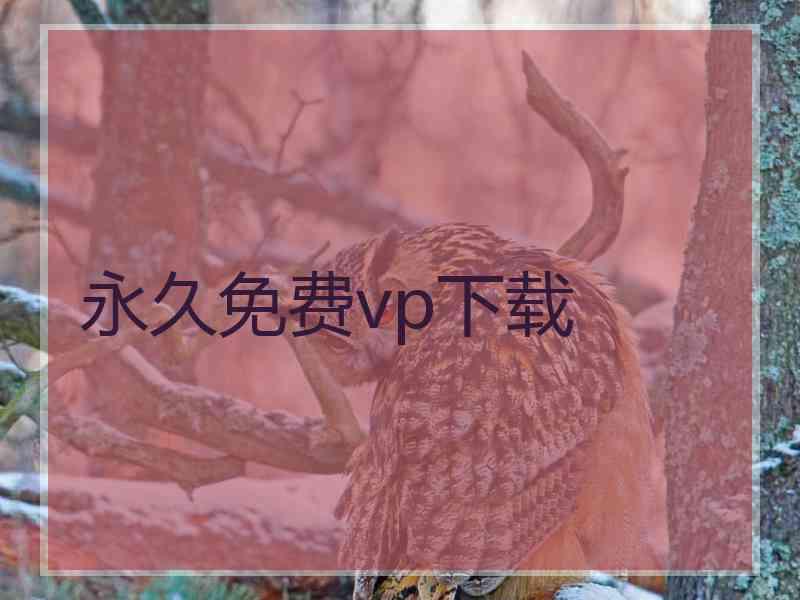 永久免费vp下载