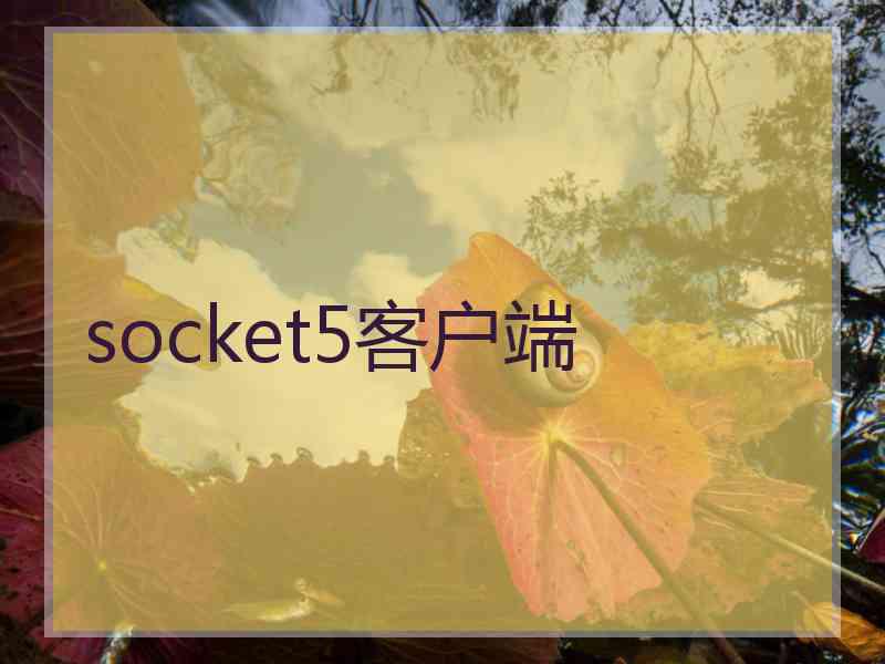 socket5客户端