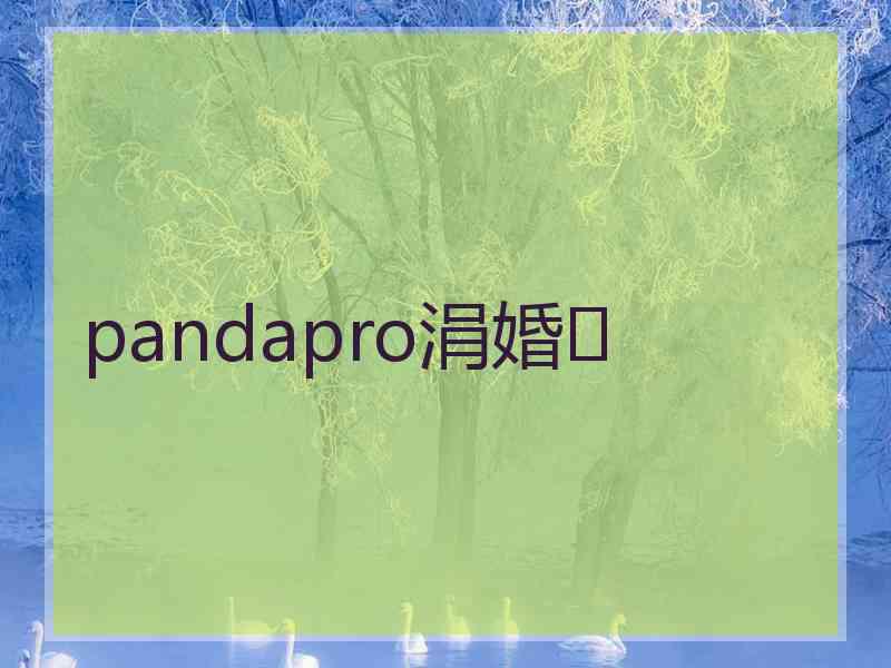 pandapro涓婚