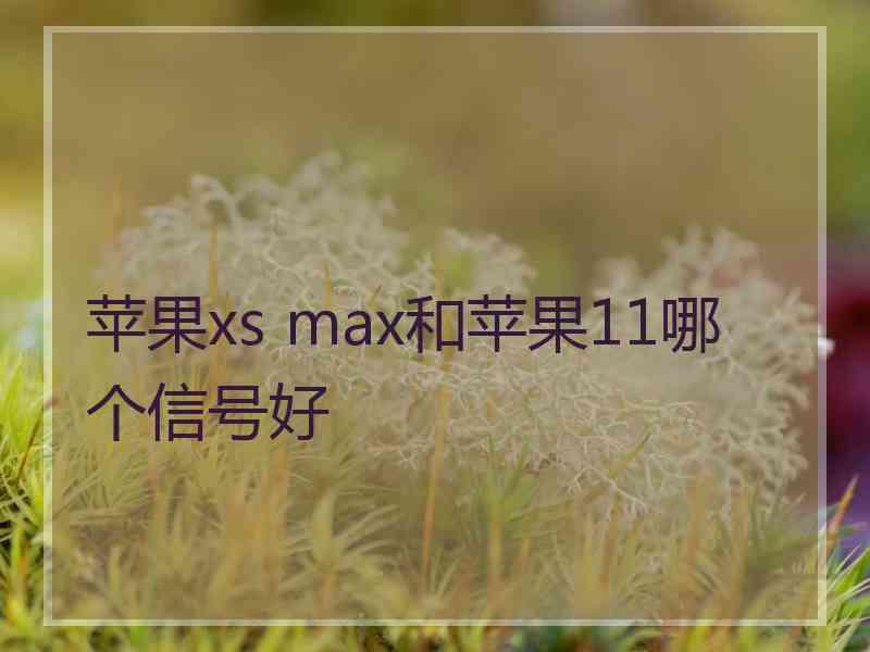 苹果xs max和苹果11哪个信号好