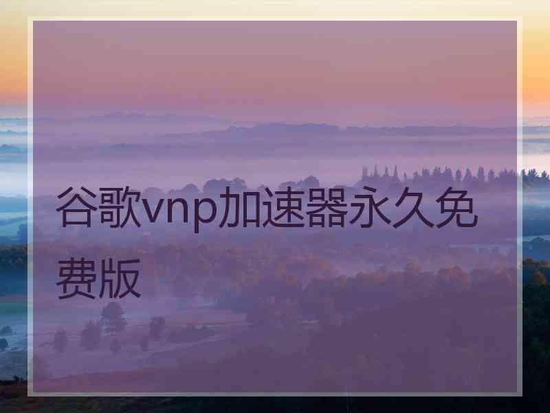 谷歌vnp加速器永久免费版