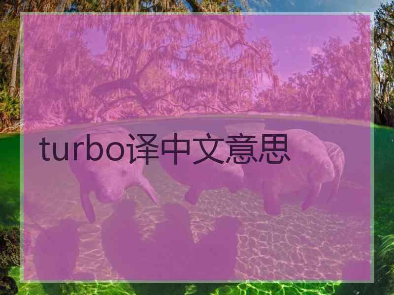 turbo译中文意思