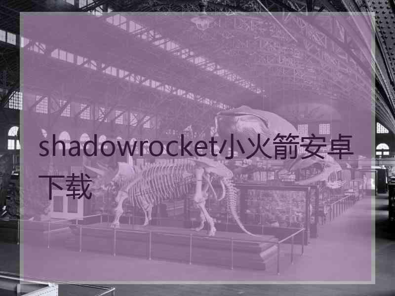 shadowrocket小火箭安卓下载