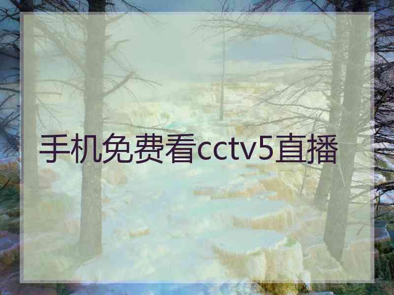 手机免费看cctv5直播