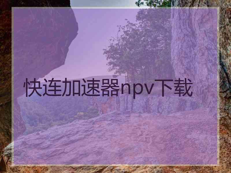 快连加速器npv下载