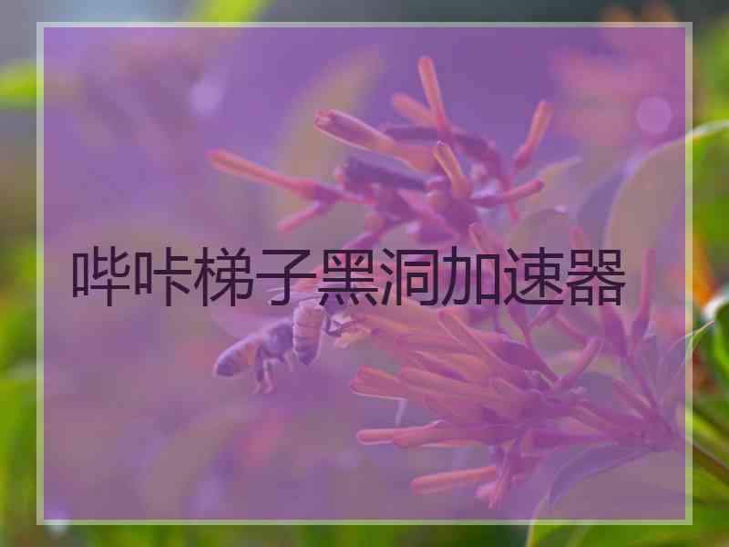 哔咔梯子黑洞加速器