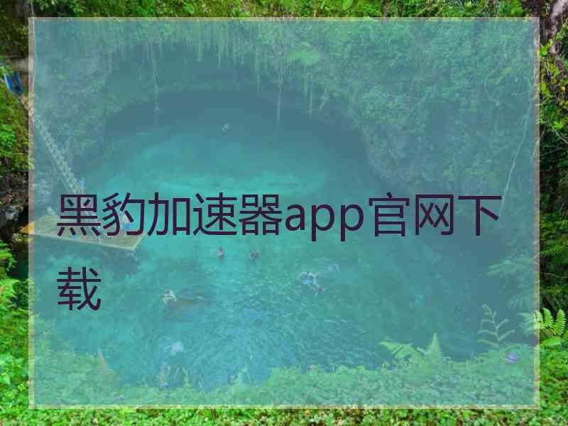 黑豹加速器app官网下载