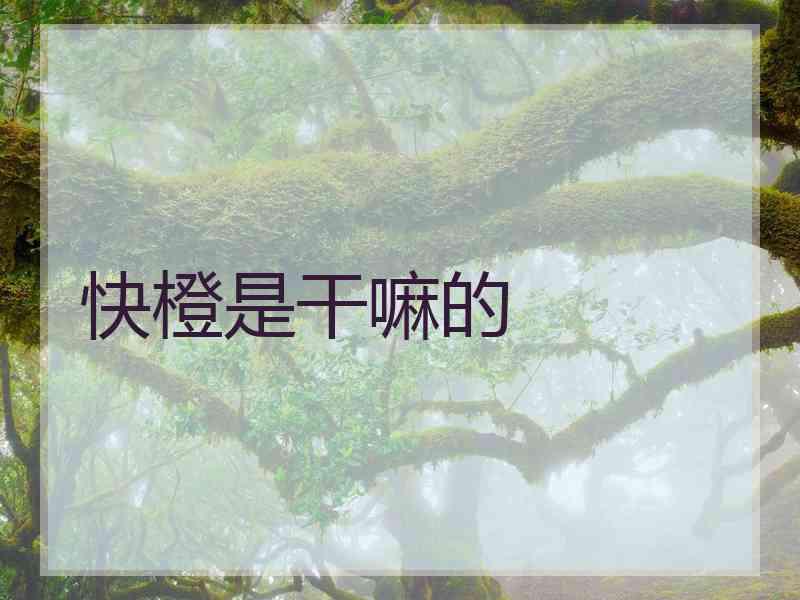 快橙是干嘛的