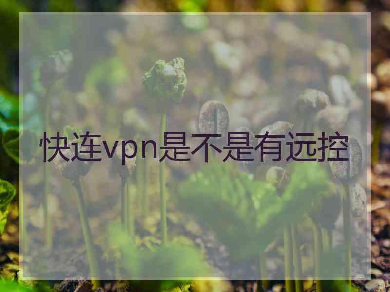 快连vpn是不是有远控