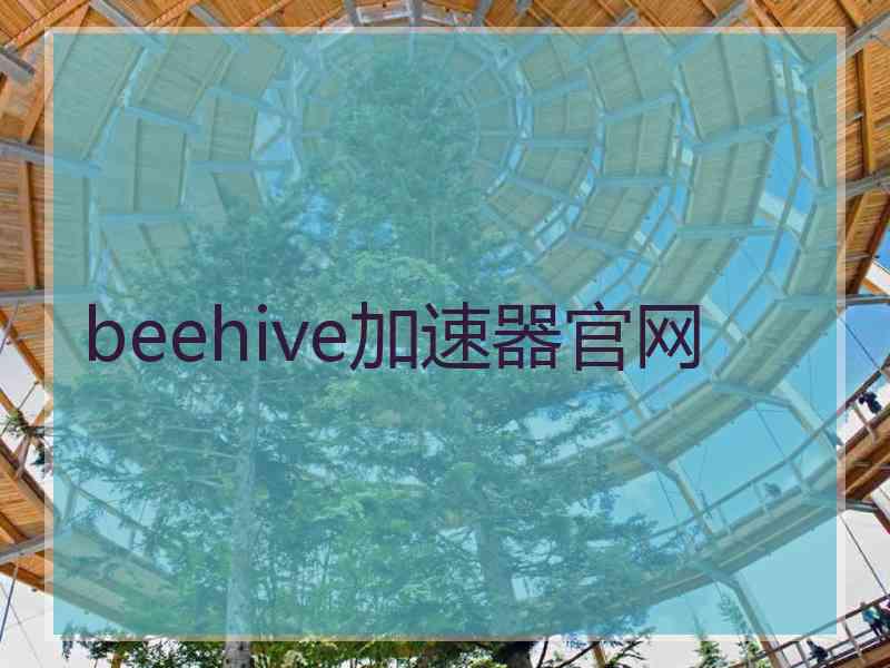 beehive加速器官网