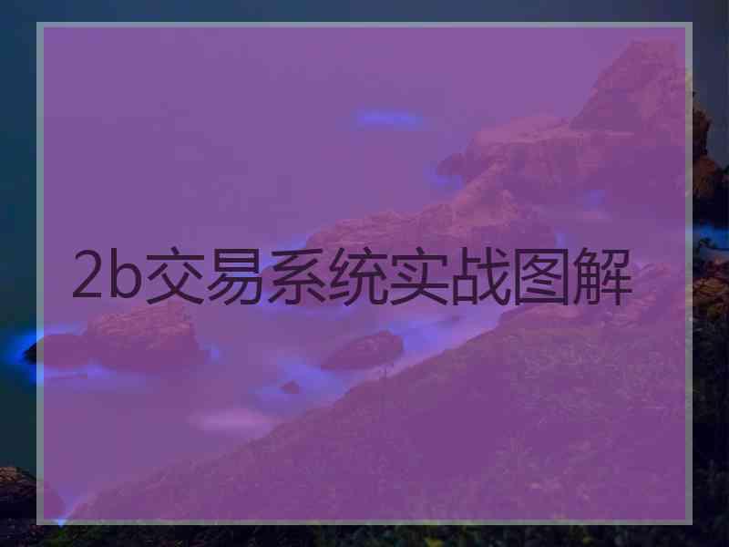 2b交易系统实战图解