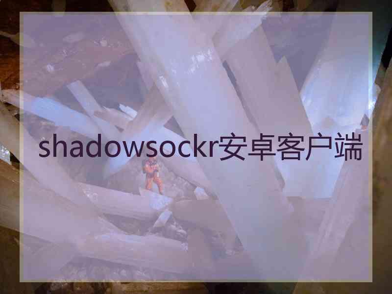 shadowsockr安卓客户端