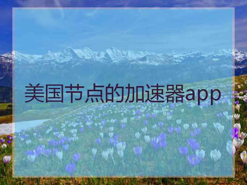 美国节点的加速器app