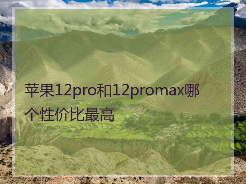 苹果12pro和12promax哪个性价比最高