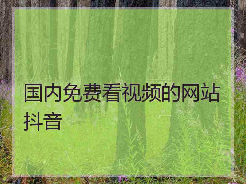 国内免费看视频的网站抖音