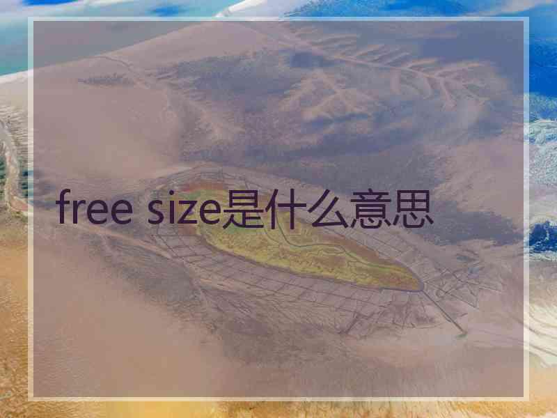 free size是什么意思