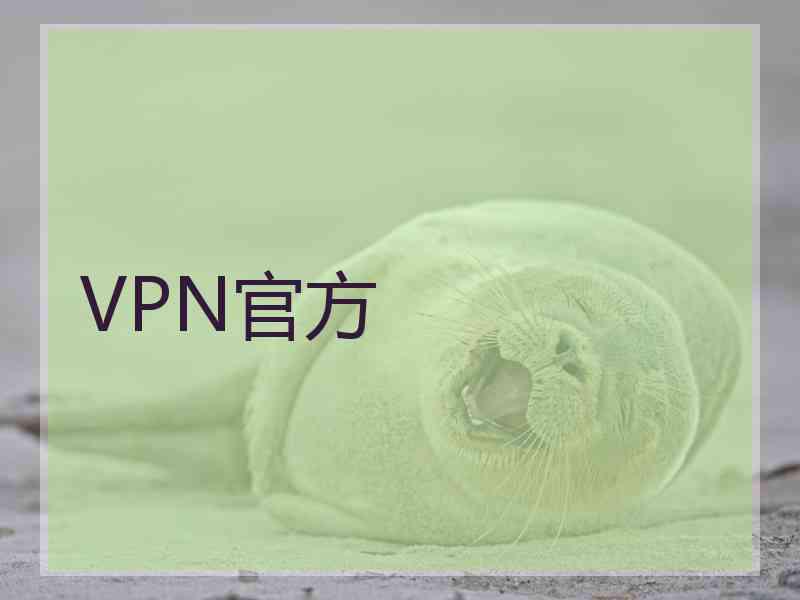 VPN官方