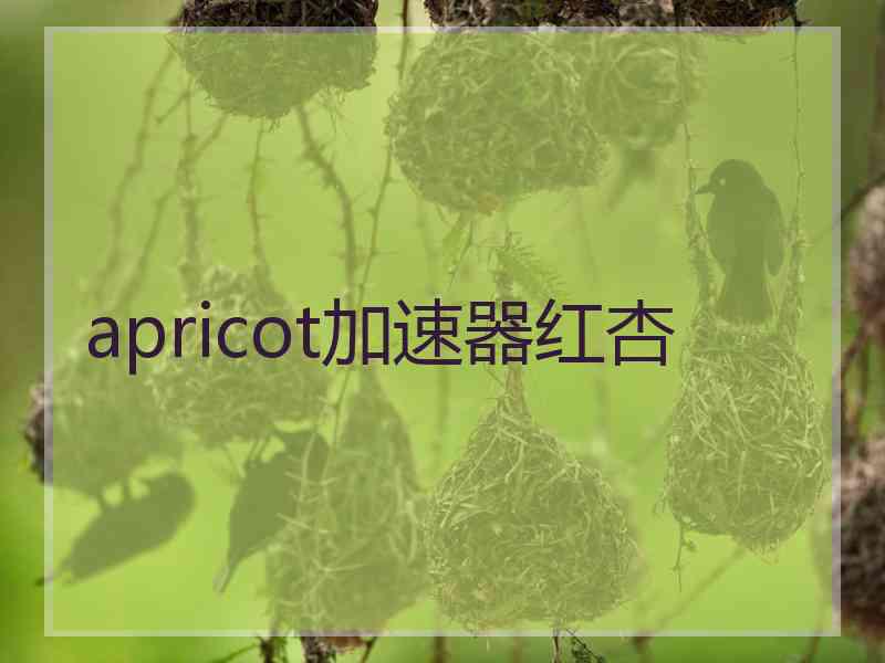 apricot加速器红杏