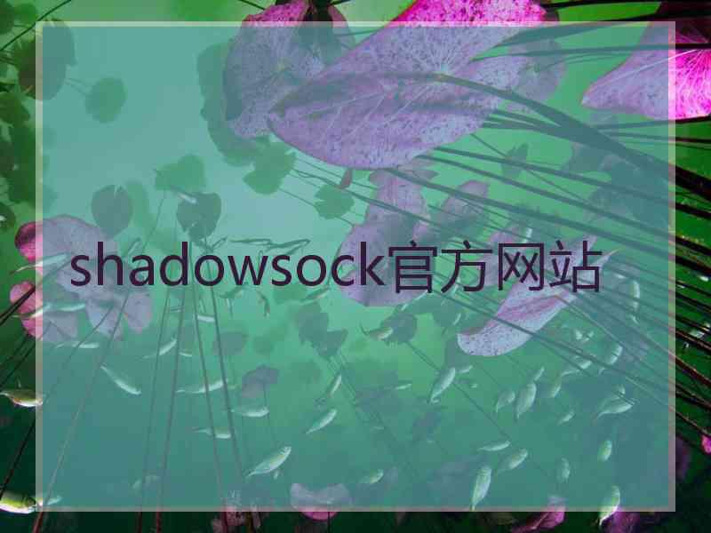 shadowsock官方网站