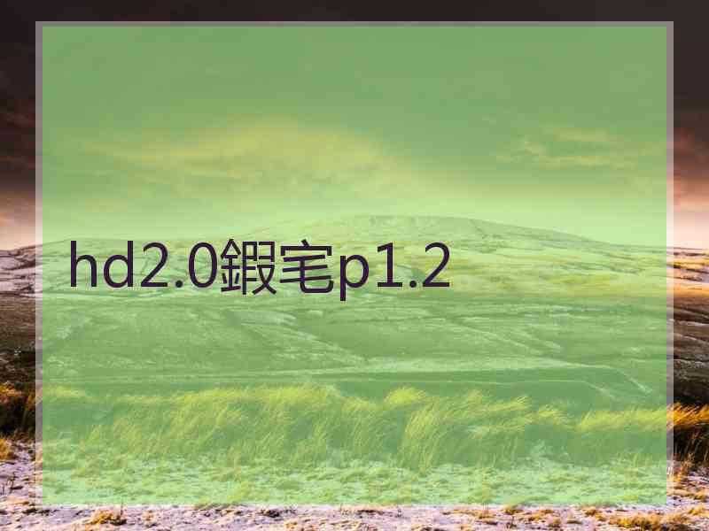 hd2.0鍜宒p1.2