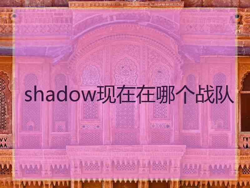 shadow现在在哪个战队