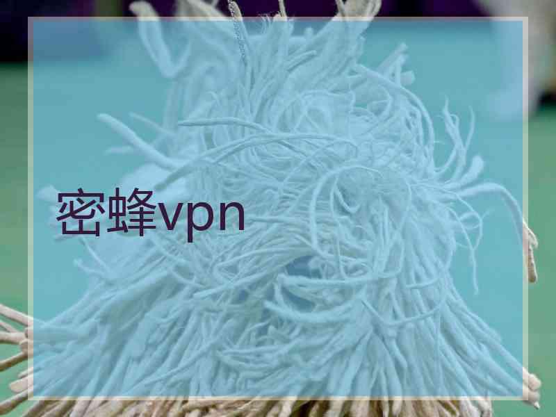 密蜂vpn