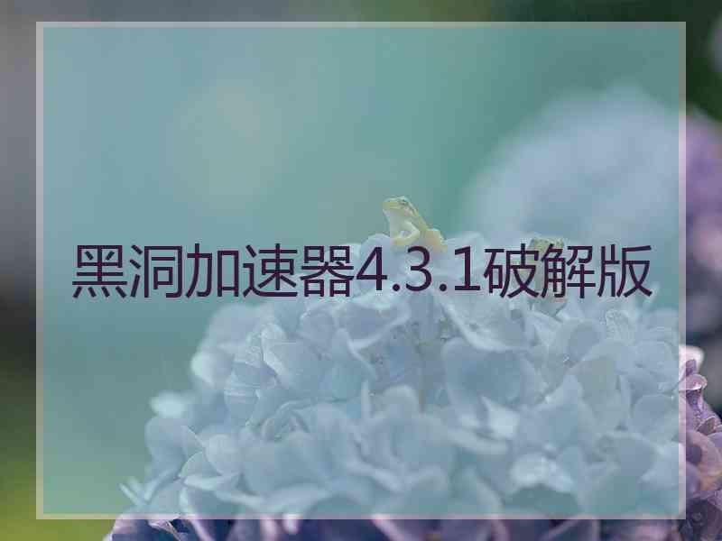 黑洞加速器4.3.1破解版