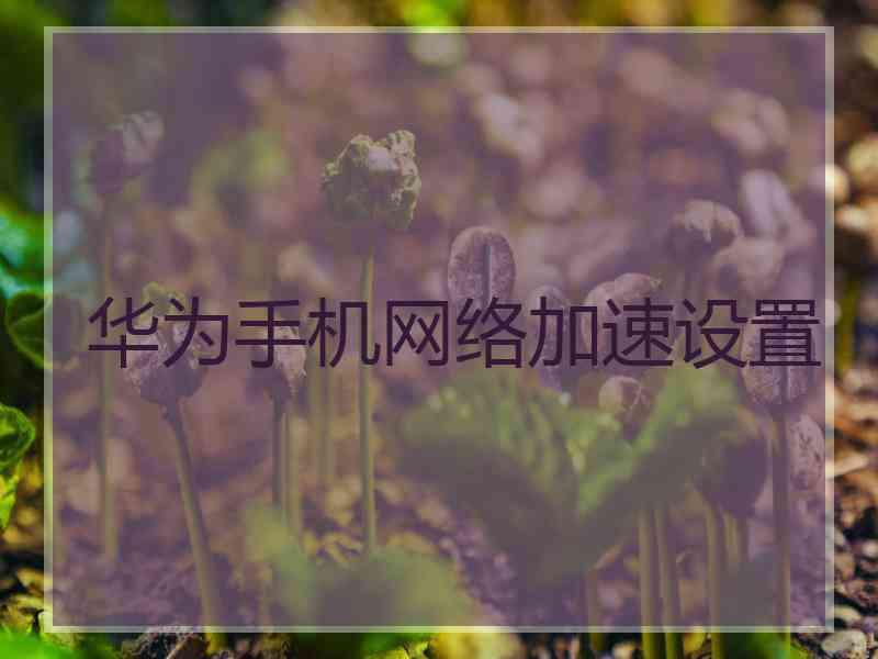 华为手机网络加速设置