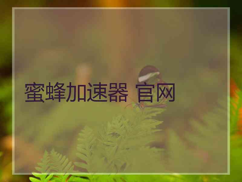 蜜蜂加速器 官网