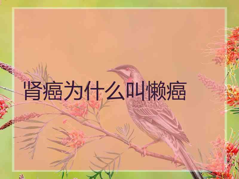 肾癌为什么叫懒癌