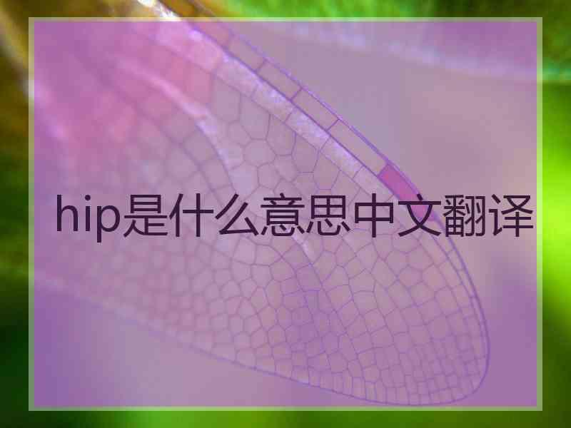 hip是什么意思中文翻译