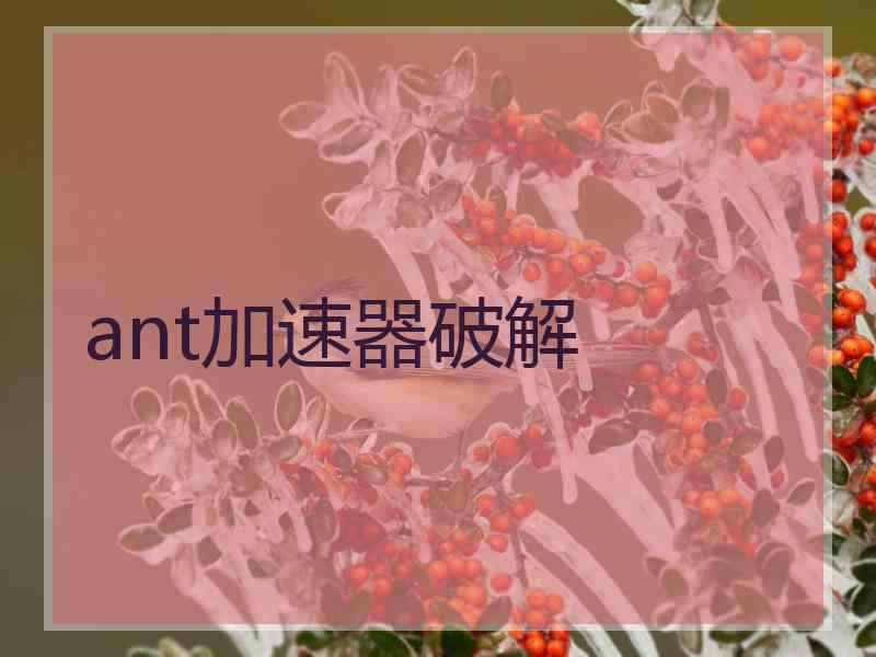 ant加速器破解