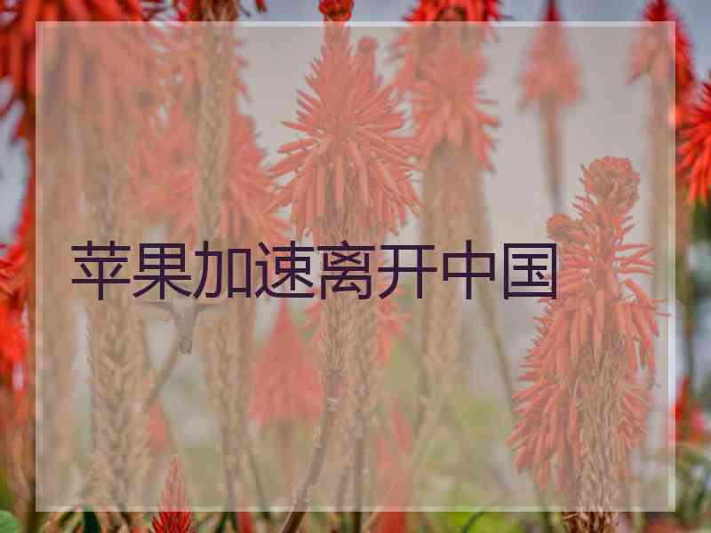 苹果加速离开中国