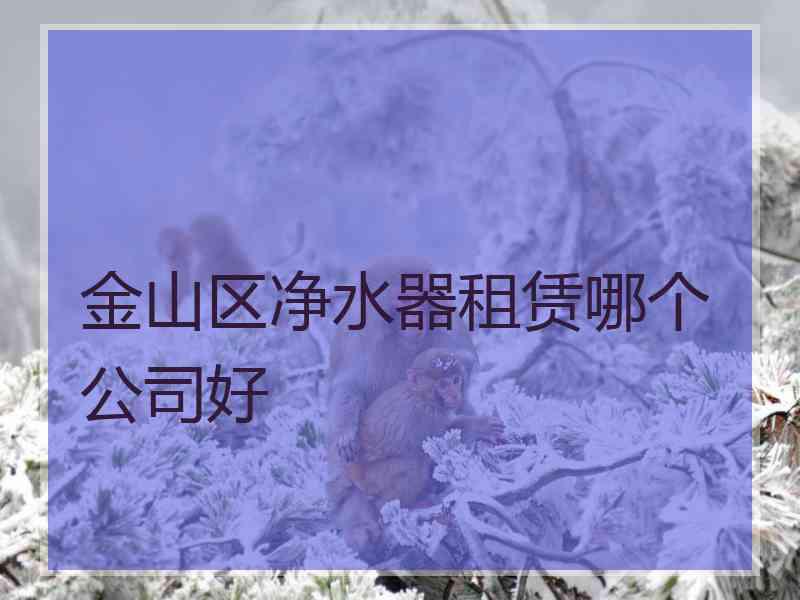 金山区净水器租赁哪个公司好